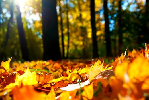 پاییز خنکی در راه نیست