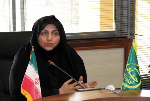 اجرای طرح سایه‌بان در باغات 