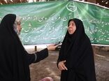 باغداران کرمانی از جابه جایی پاجوش های آلوده به سوسک سرخرطومی حنایی خودداری کنند