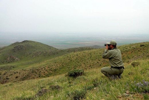 ضرورت حمایت قانونی از همیاران طبیعت