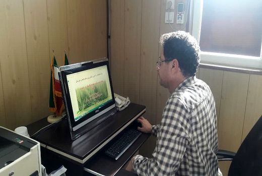 مدیریت کود سرک و تغذیه تکمیلی گندم و کلزا