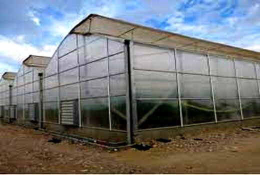 ۲۵۰ میلیارد ریال برای ایجاد بزرگترین طرح گلخانه‌ای خراسان شمالی هزینه شد