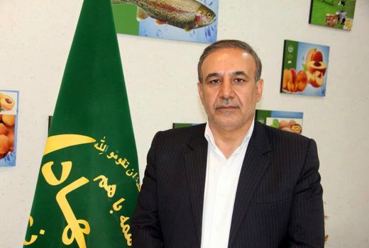 ۷۱میلیارد تومان تسهیلات برای کشاورزان خسارت دیده از سیل لرستان پرداخت شد