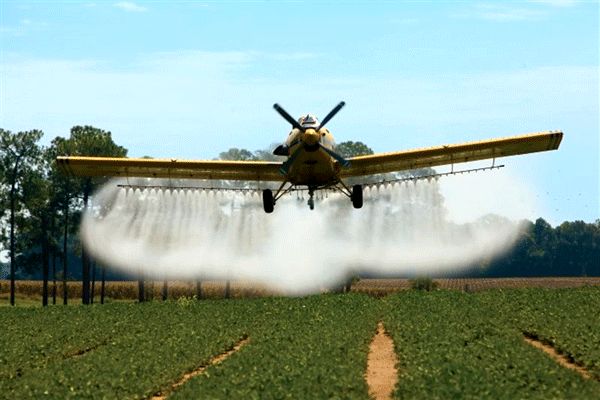 مبارزه در سطحی بالغ‌بر 80 هزار هکتار با ملخ صحرایی برای سال آینده