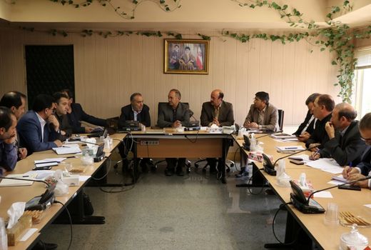 کشت کلزا در  37 هزار هکتار از اراضی کشاورزی استان اردبیل 