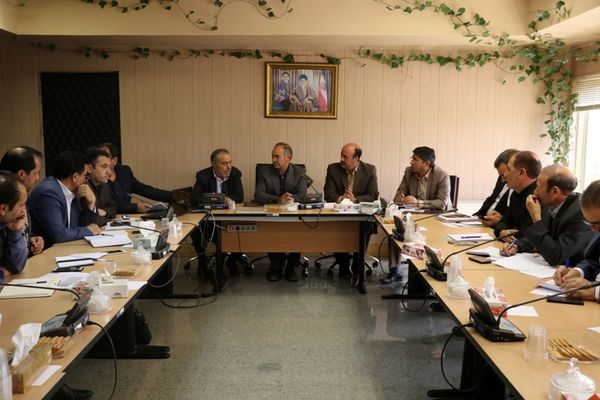 کشت کلزا در  37 هزار هکتار از اراضی کشاورزی استان اردبیل 