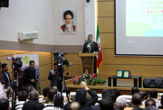 از سال آینده کاشت 250 میلیون اصله نهال در سال آغاز می شود/  افزایش ظرفیت نهالستان های کشور تا 400 میلیون اصله نهال 