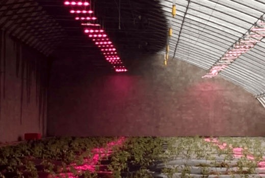 استفاده از برق به جای کود