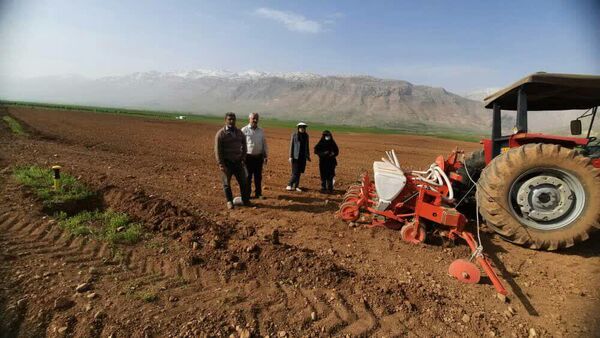 آغاز کشت چغندر قند در شهرستان فارسان 