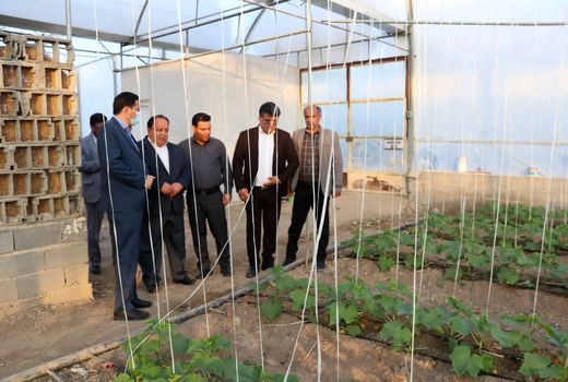 تولید پایدار با تغییر نظام بهره‌برداری در بخش کشاورزی