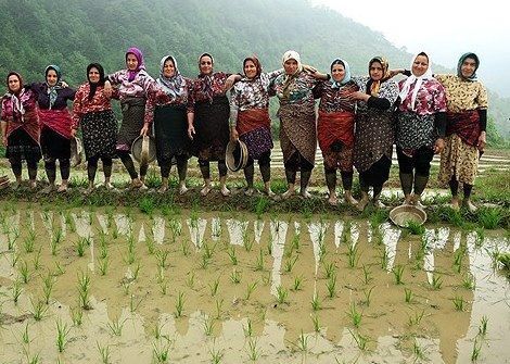 زنان توانمند؛ قلب تپنده کشاورزی ایران