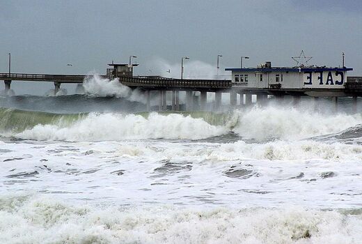 هشدار جدی به پرورش‌دهندگان: از برداشت زودهنگام تا ایمن‌سازی فوری زیرساخت‌های تولید