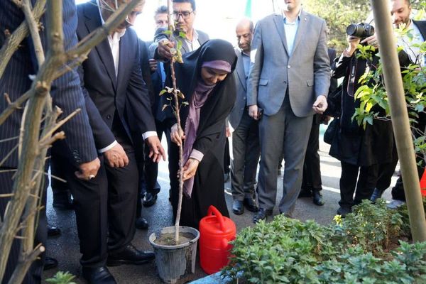 وزیر راه و شهرسازی در تبریز نهالی به یاد شهدای جنگ دوازدهروزه غرس کرد