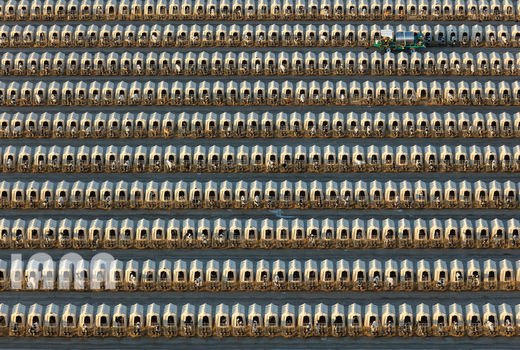 کشاورزی قرن 21