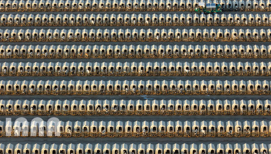 کشاورزی قرن 21