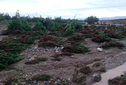 خسارت  380 میلیارد تومانی سیل به کشاورزی خرم بید 