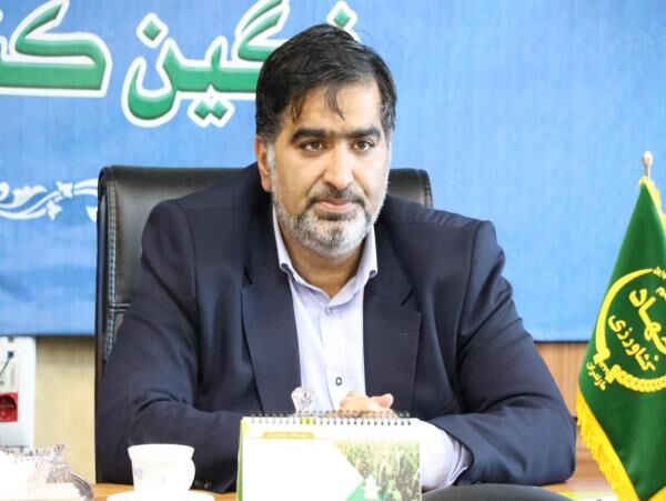 افزایش سه برابری صادرات با شناسنامه‌دار کردن محصولات باغی 