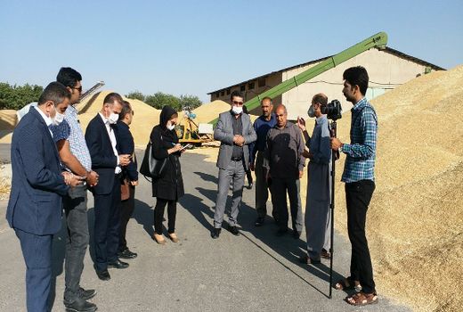 عضویت 183 هزار نفر سهام دار در شبکه تعاون روستایی کردستان