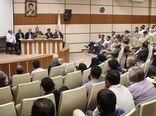 رتبه نخست کشوری در تولید نهال به استان البرز رسید