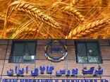 فروش گندم تولیدی زنجان در بورس کالا