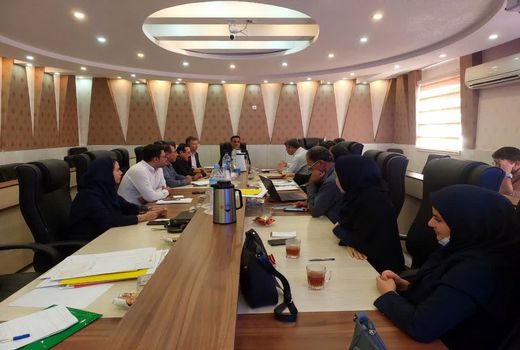 تثبیت ۱۶۲ هزار هکتار اراضی غیر ملی در استان بوشهر 