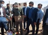 درختکاری در منطقه ویژه اقتصادی بیرجند با حضور رئیس سازمان و استاندار 