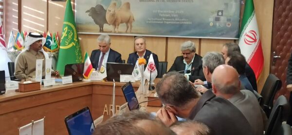 دامپروری هوشمند متناسب با اقلیم، مسیر تقویت تاب‌آوری و امنیت غذایی جهان اسلام است