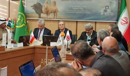 دامپروری هوشمند متناسب با اقلیم، مسیر تقویت تاب‌آوری و امنیت غذایی جهان اسلام است