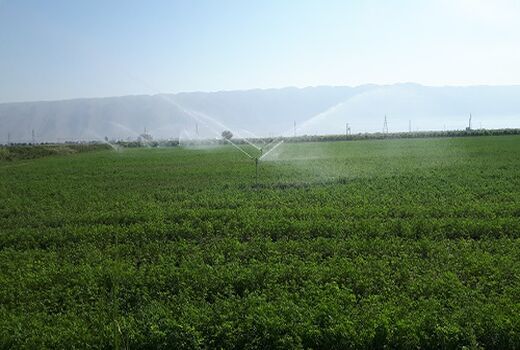  تجهیز اراضی کوار به سامانه های نوین آبیاری