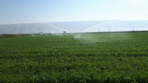  تجهیز اراضی کوار به سامانه های نوین آبیاری