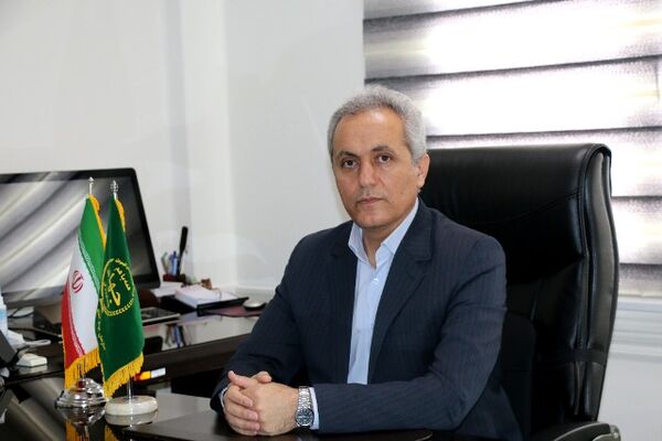 ایجاد رقابت در بازار پویایی در تولید را به همراه دارد