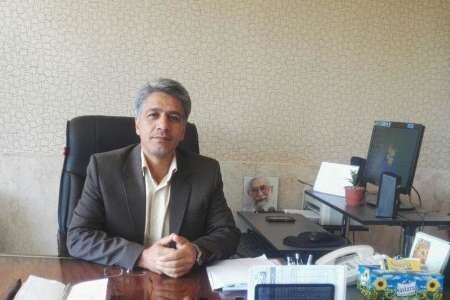 2 هزارو600تن انگور خسارت دیده باغداران شاهرود خریداری شد