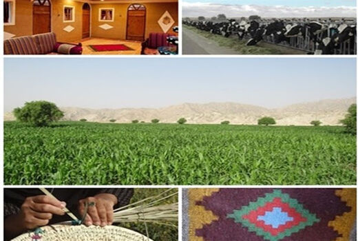 ایجاد اشتغال پایدار و مستقیم برای ۱۱هزارنفر