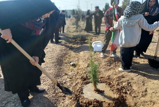 پویش در سایه مادر با هدف افزایش فضای سبز در استان سمنان آغاز به کار کرد
