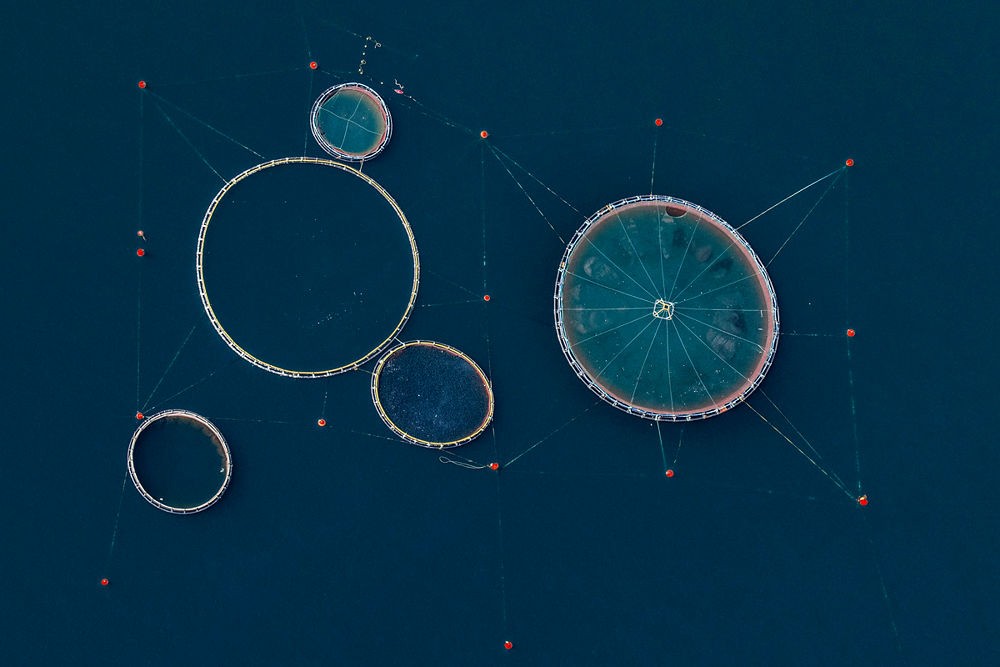 مشاهدات هوايی مزارع ماهی