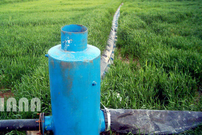 آبیاری قطره‌ای
