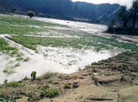 سیلاب 613 میلیارد تومان به بخش کشاورزی سیستان و بلوچستان خسارت زد