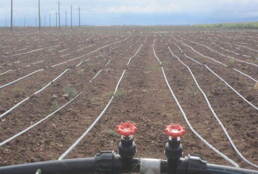 اجرای سیستم آبیاری نوین در سطح 450 هکتار از اراضی کشاورزی شهرستان البرز