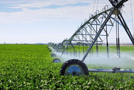 اجرای سامانه‌های نوین آبیاری در ۲۵۰۰ هکتار از مزارع اصفهان