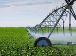اجرای سامانه‌های نوین آبیاری در ۲۵۰۰ هکتار از مزارع اصفهان