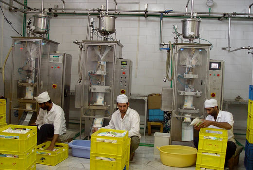 6 هزار فرصت شغلی روستایی وعشایری در سیستان وبلوچستان ایجاد شد