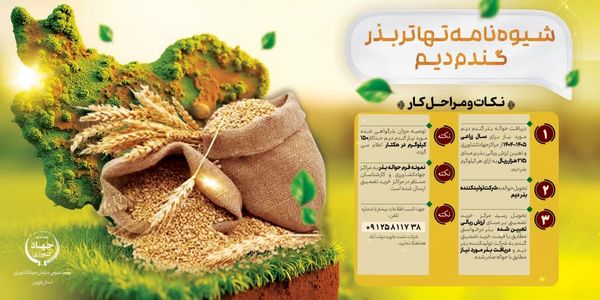 اینفوگرافی | شیوه نامه تهاتر بذر گندم دیم 

