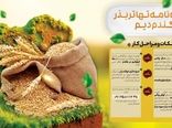 اینفوگرافی | شیوه نامه تهاتر بذر گندم دیم 

