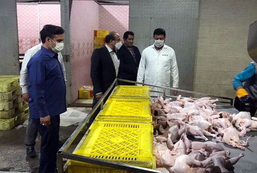 بازدید شبانه مدیر توسعه بازرگانی سازمان جهادکشاورزی آذربایجان شرقی از کشتارگاه طیور مراغه