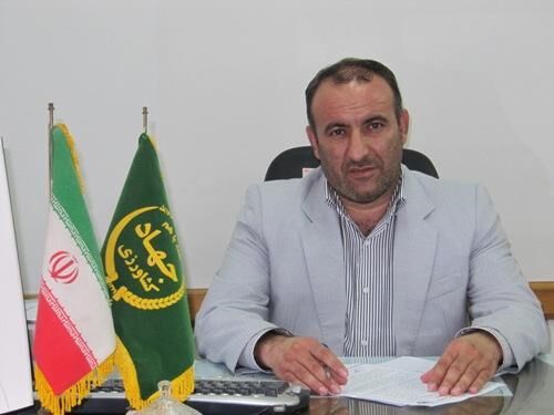 مازندران کمترین ضریب تلفات طیور کشور را دارد