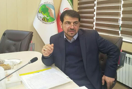 18 راهبرد سازمان جنگل‌ها در سال 1399