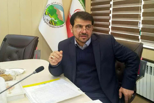 18 راهبرد سازمان جنگل‌ها در سال 1399