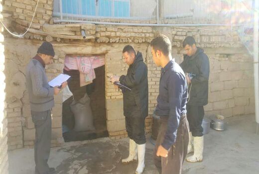 آغاز طرح واکسیناسیون دام‌های سنگین شهرستان کیار
