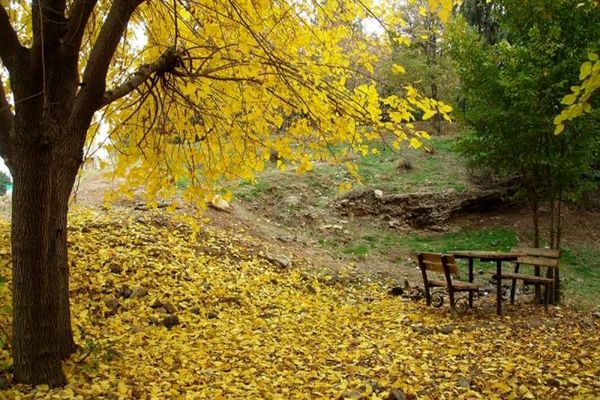 8 هکتار از بوستان جنگلی سرخه حصار دارای سند مالکیت تک برگ شد