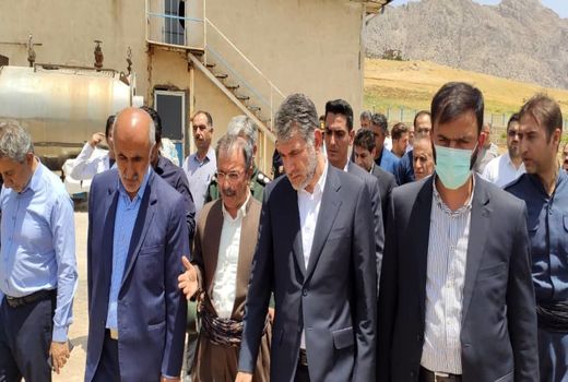 وزیر جهاد کشاورزی از کارخانه خوراک دام هلانی شهرستان جوانرود بازدید کرد